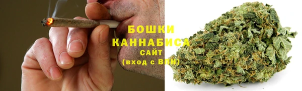 ПСИЛОЦИБИНОВЫЕ ГРИБЫ Баксан
