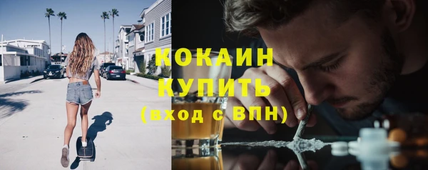 ПСИЛОЦИБИНОВЫЕ ГРИБЫ Баксан