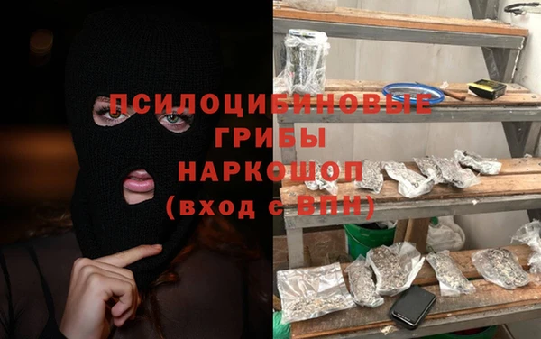 ПСИЛОЦИБИНОВЫЕ ГРИБЫ Баксан