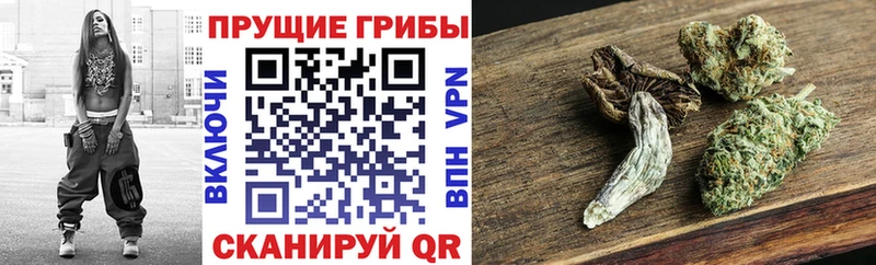 Галлюциногенные грибы MAGIC MUSHROOMS цены наркотик kraken зеркало Ясный